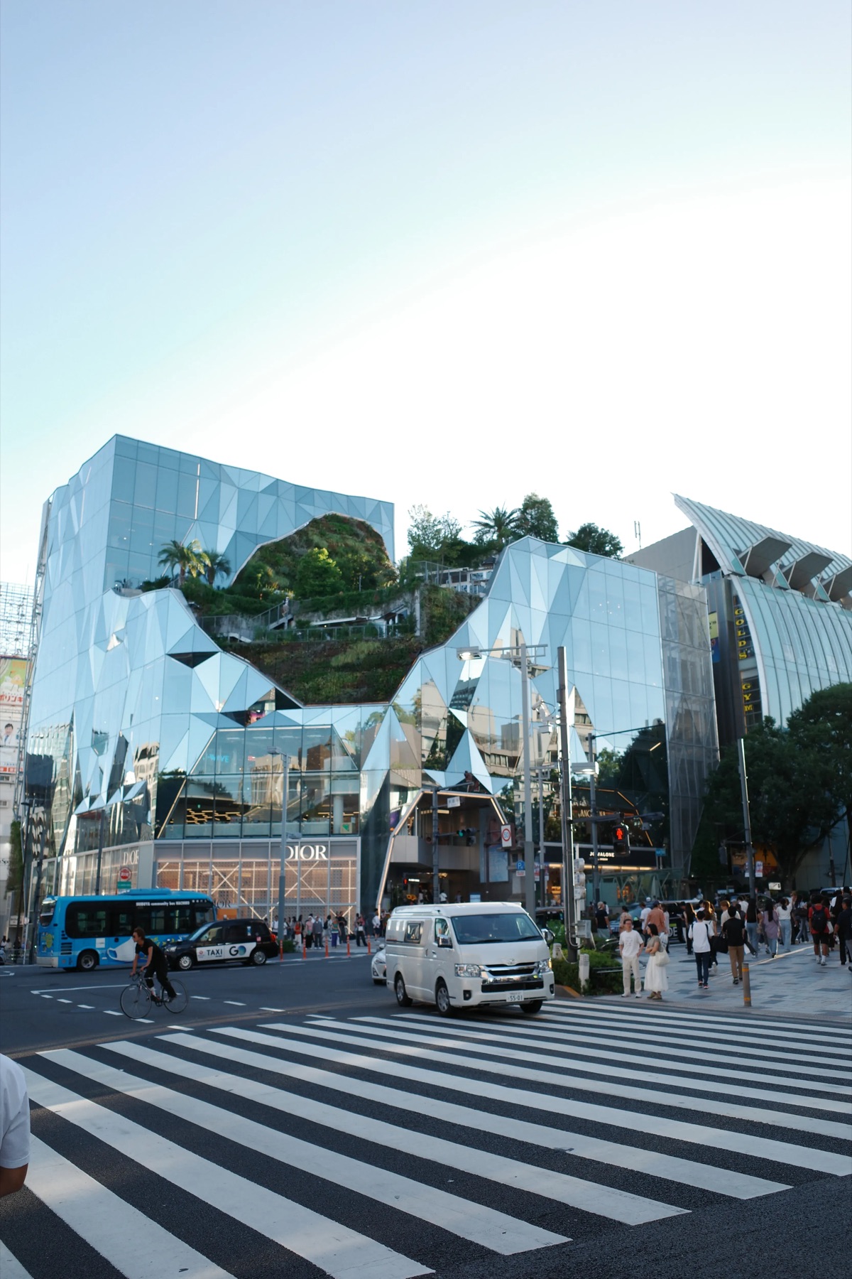 Crosswalk, Tokyo
